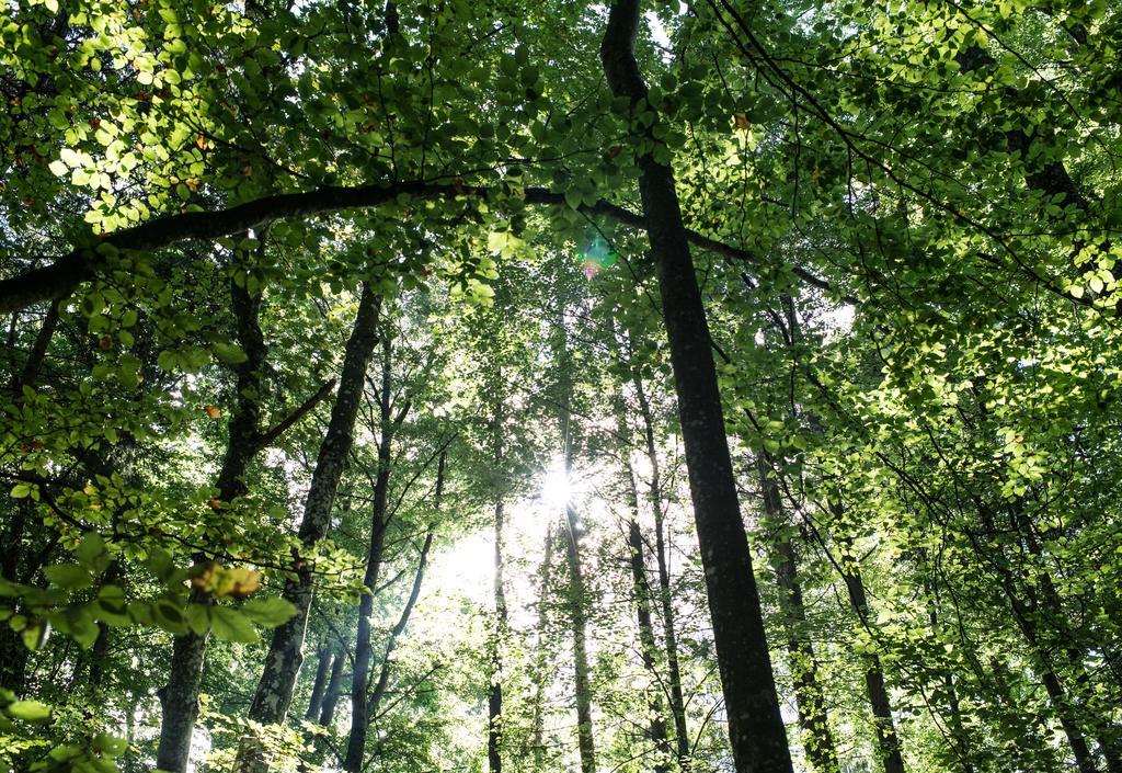 Biohotel Schlossgut Oberambach Kültér fotó